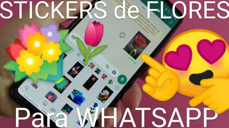 ramos de flores por WhatsApp.