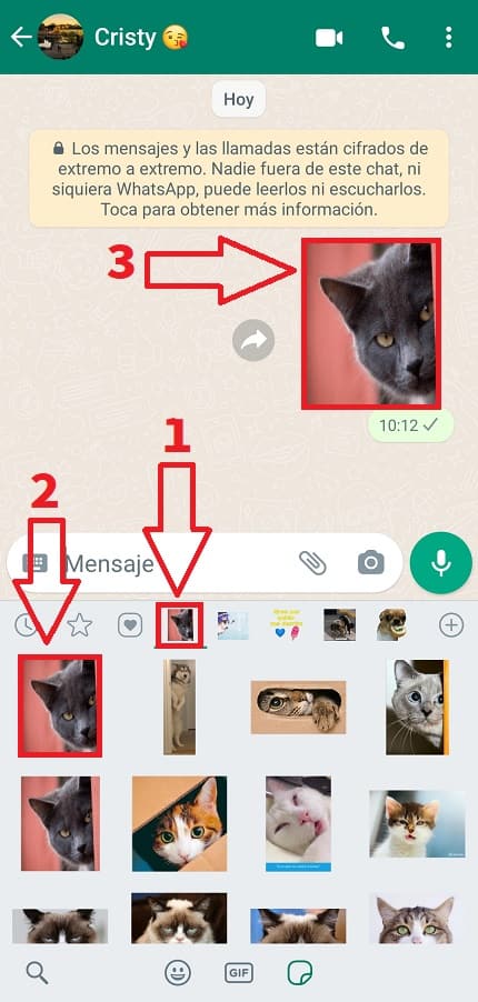Enviar Stickers gatos WhatsApp.