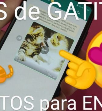 gif del gato con botas