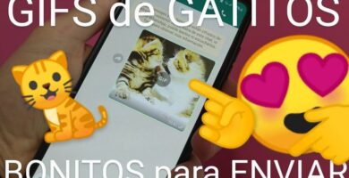 gif del gato con botas