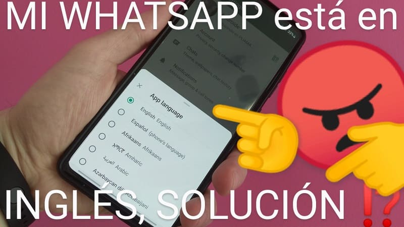 añadir castellano Whatsapp.