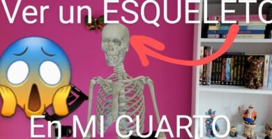 Esqueleto 3D en tu cuarto.