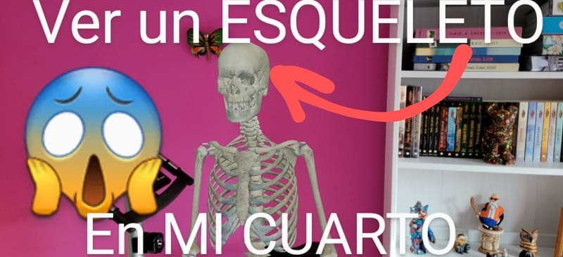 Esqueleto 3D en tu cuarto.