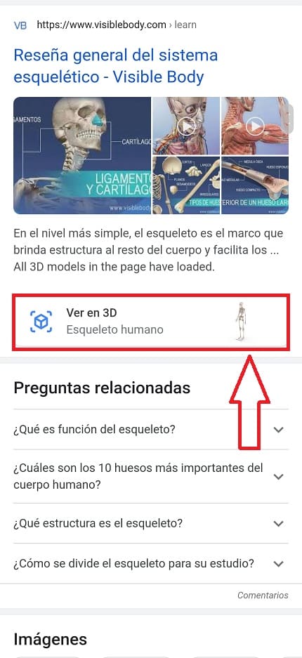 ver esqueleto en 3D.