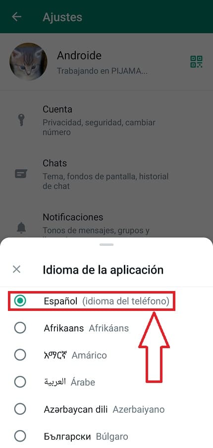 whatsapp está en inglés.