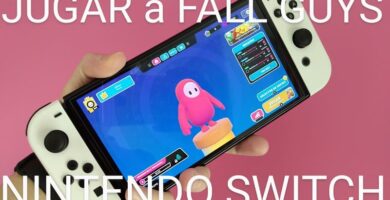 Fall Guys Nintendo Switch.