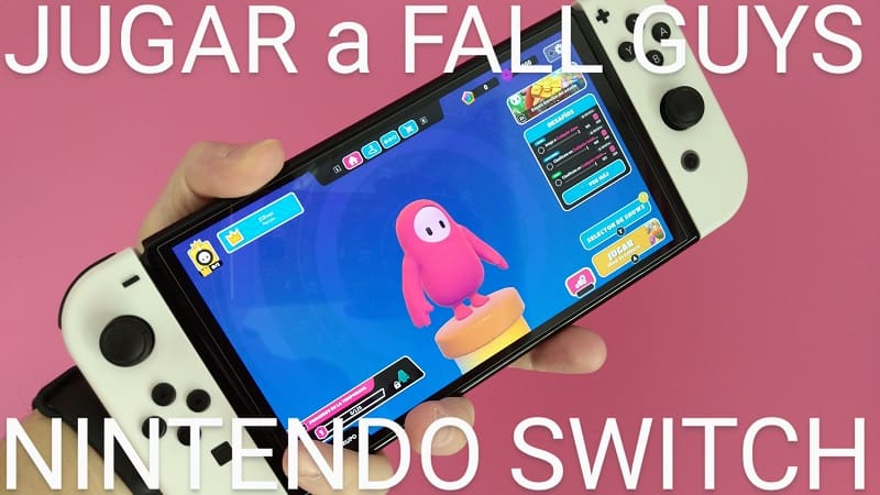 Fall Guys Nintendo Switch.