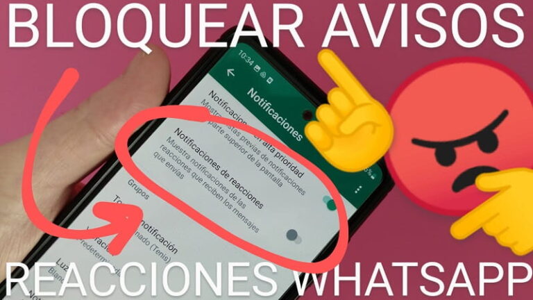 Desactivar Las Notificaciones De Reacciones De Whatsapp 2024 7702