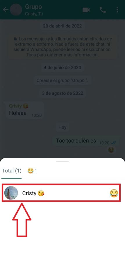 quien reaccionó a mi whatsapp.