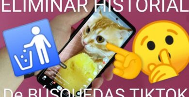 Eliminar mi historial TikTok.