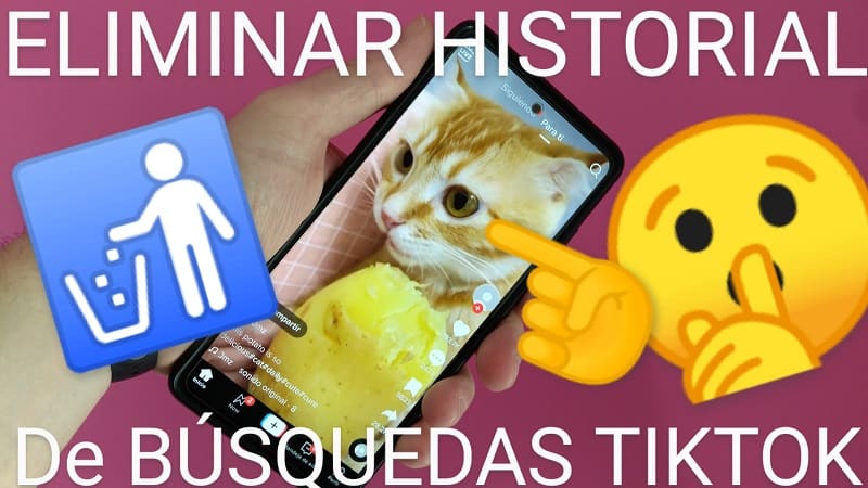 Eliminar mi historial TikTok.