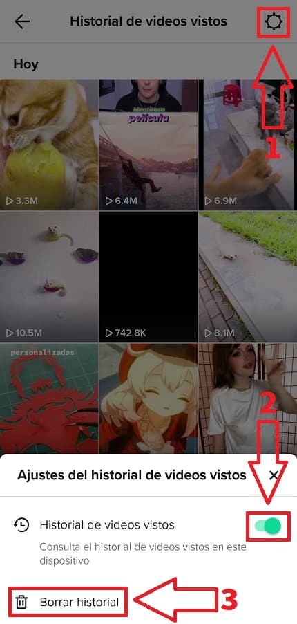 Bloquear el historial de videos tiktok.