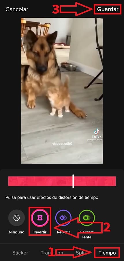 poner vídeo de tiktok con tiempo invertido.