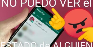 No veo el estado de WhatsApp de otras personas.