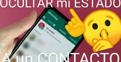 ocultar mi estado de whatsapp a un contacto.