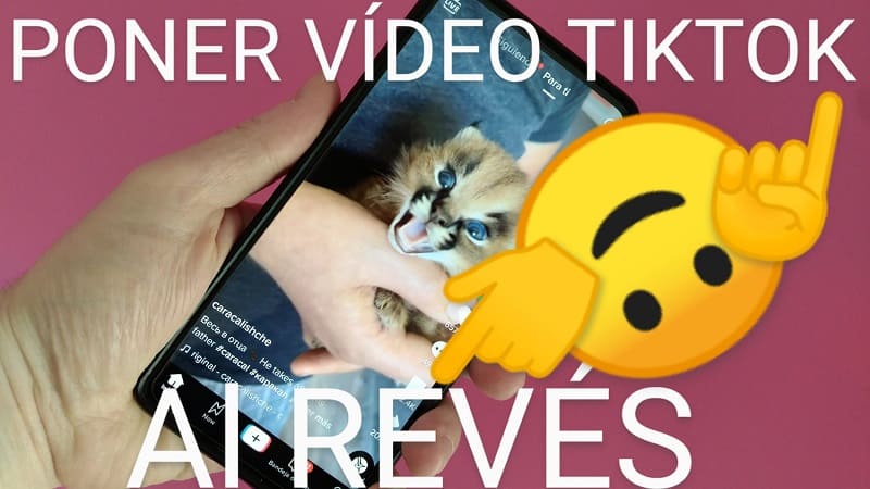 colocar un vídeo de tiktok marcha atrás.