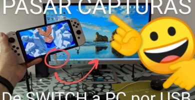 Transferir capturas de Nintendo Switch a PC por cable.