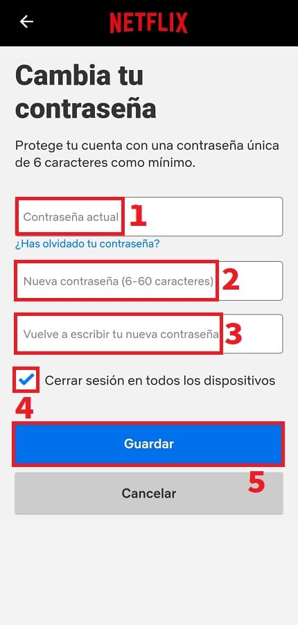 poner otra contraseña en netflix.