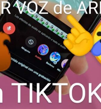 poner mi ardilla de tiktok.