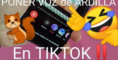 poner mi ardilla de tiktok.