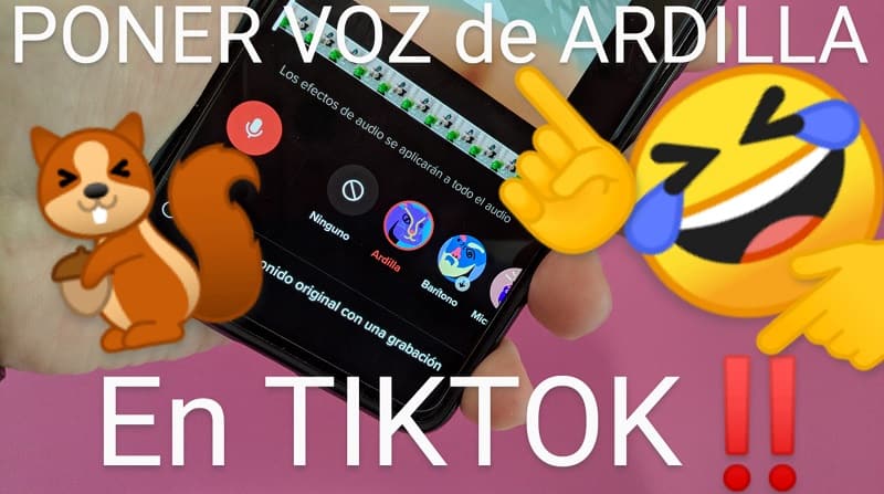 poner mi ardilla de tiktok.