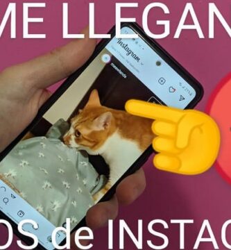 Las notificaciones de Instagram no me llegan.