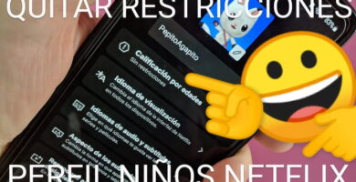 Desactivar restricciones perfil infantil Netflix.