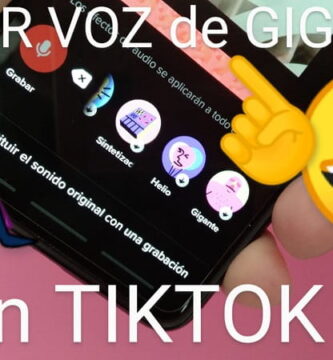 Voz de gigante TikTok.