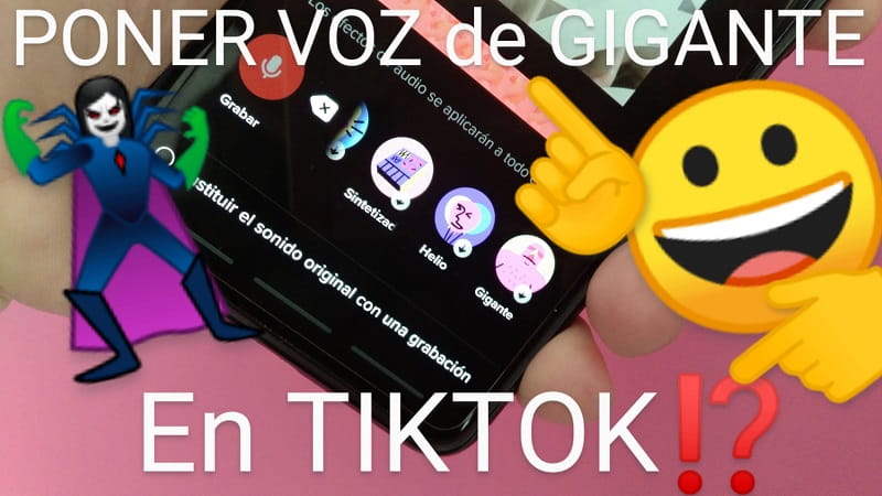 Voz de gigante TikTok.