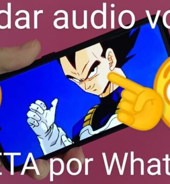 enviar audio voz vegeta whatsapp.