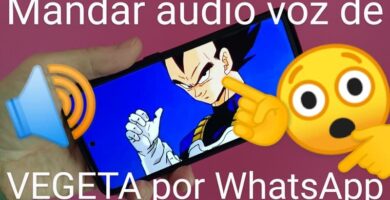 enviar audio voz vegeta whatsapp.