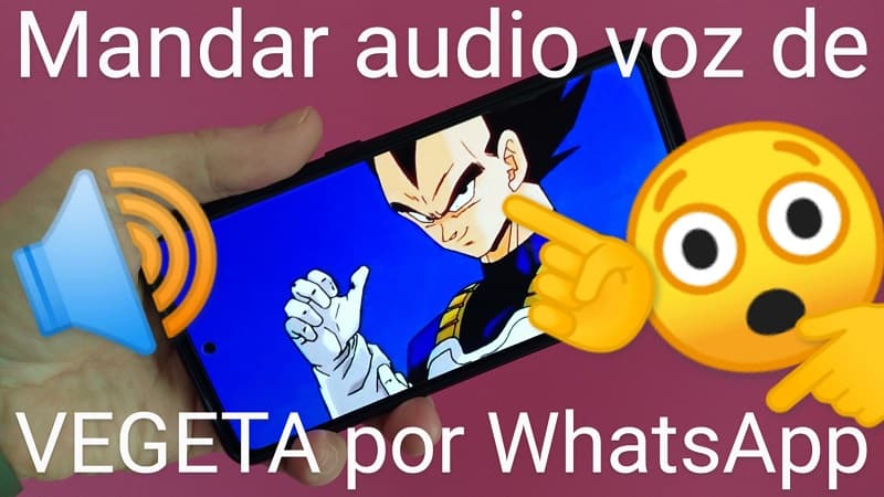 enviar audio voz vegeta whatsapp.