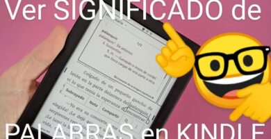 activar diccionario en kindle.