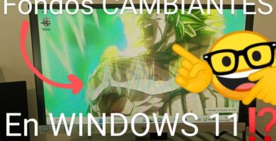 fondos automáticos windows 11.