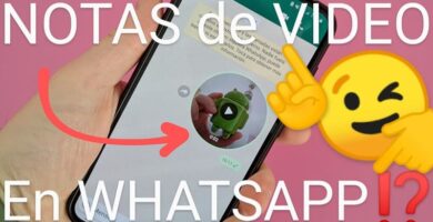 Enviar notas de vídeo por WhatsApp.