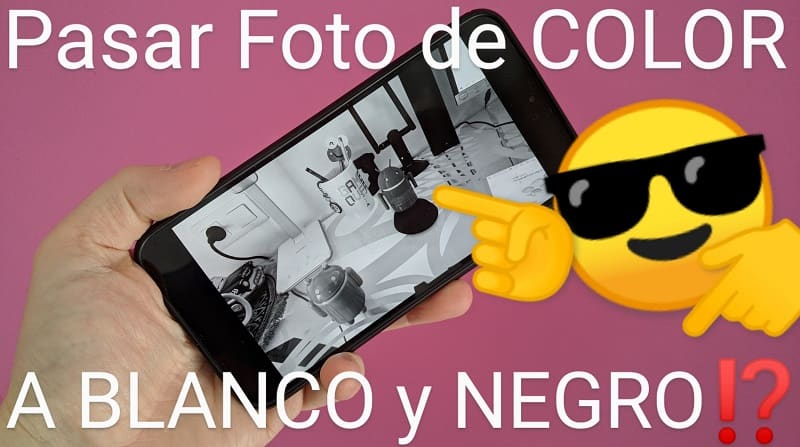 Convertir una foto en blanco y negro.