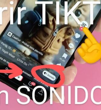 Activar TikTok en modo silencio.