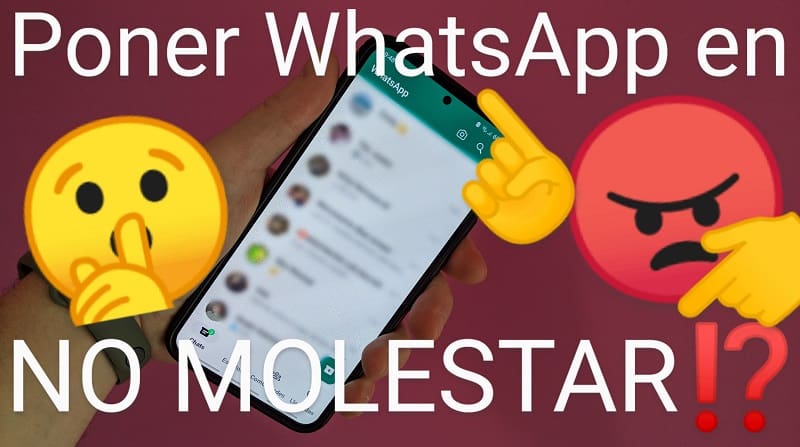Habilitar no molestar WhatsApp.