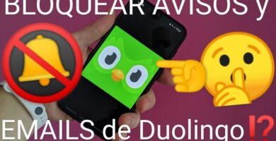 Desactivar avisos y correos de duolingo Android y iPhone.