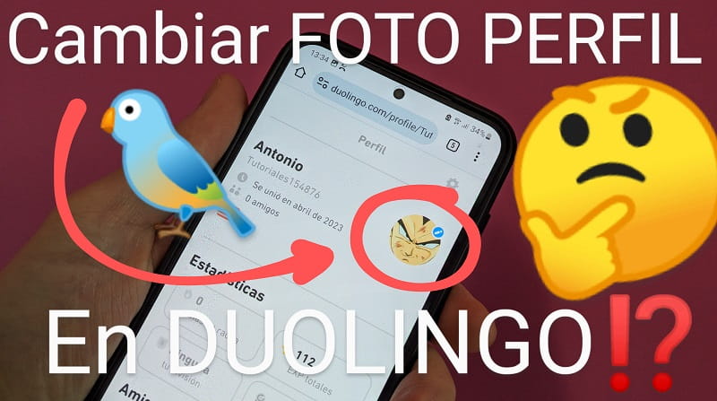 Cambiar foto imagen perfil Duolingo.