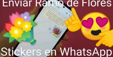 Stickers ramos de flores WhatsApp.