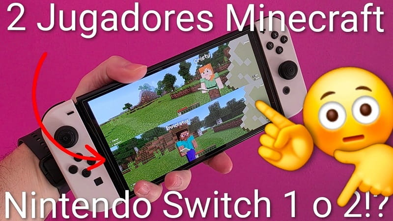 Minecraft dos jugadores Nintendo Switch